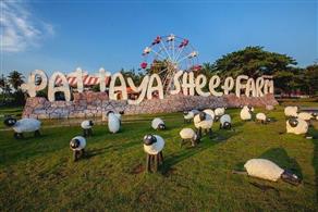 TOUR HOT 2023 : VIET NAM AIRLINE HÀ NỘI – BANGKOK -  PATTAYA – HÀ NỘI