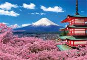 TOUR CAO CẤP 2023 - TOKYO– PHÚ SĨ  – KYOTO – OSAKA 6N5Đ