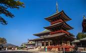 HOT TOUR 2023 - YAMANASHI – NÚI PHÚ SỸ - TOKYO 5N4Đ