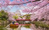 NHẬT BẢN CHÀO HÈ 2024 : TOKYO - YAMANASHI – PHÚ SĨ