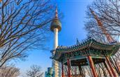 THĂNG LONG TRAVEL HÀN QUỐC 2023: SEOUL - NAMI ISLAND - EVERLAND - THÁP TRUYỀN HÌNH