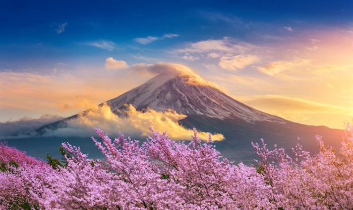 Tour du lịch Nhật Bản từ TP HCM: Hành trình khám phá xứ sở hoa anh đào