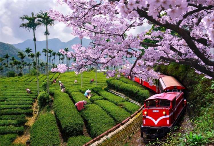 Công ty du lịch chuyên tour Đài Loan
