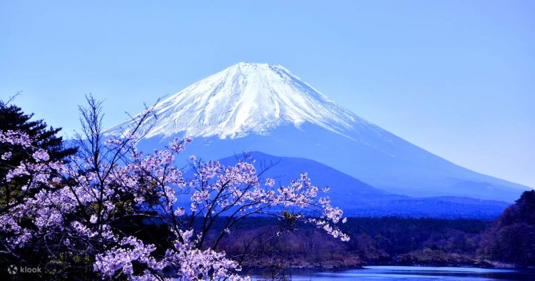 TOKYO - NÚI PHÚ SĨ /4 NGÀY 3 ĐÊM