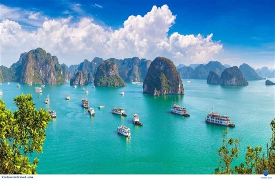 bang gia tua du lich ha long