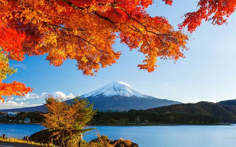 Tour Nhật Bản mùa lá đỏ