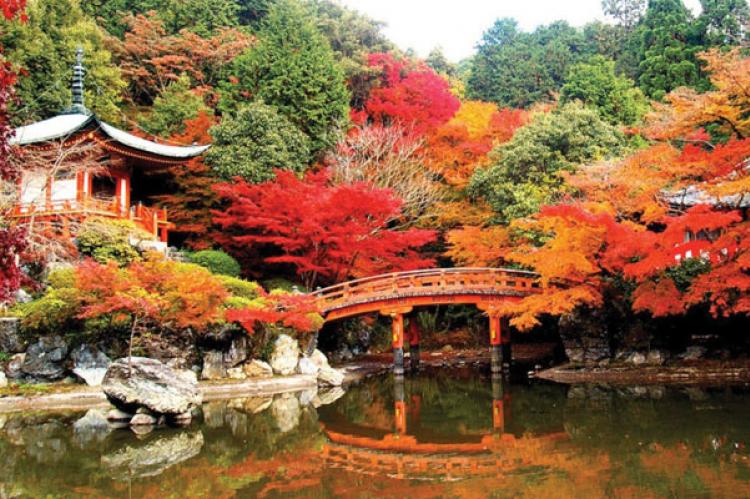 Tour Nhật Bản mùa lá đỏ