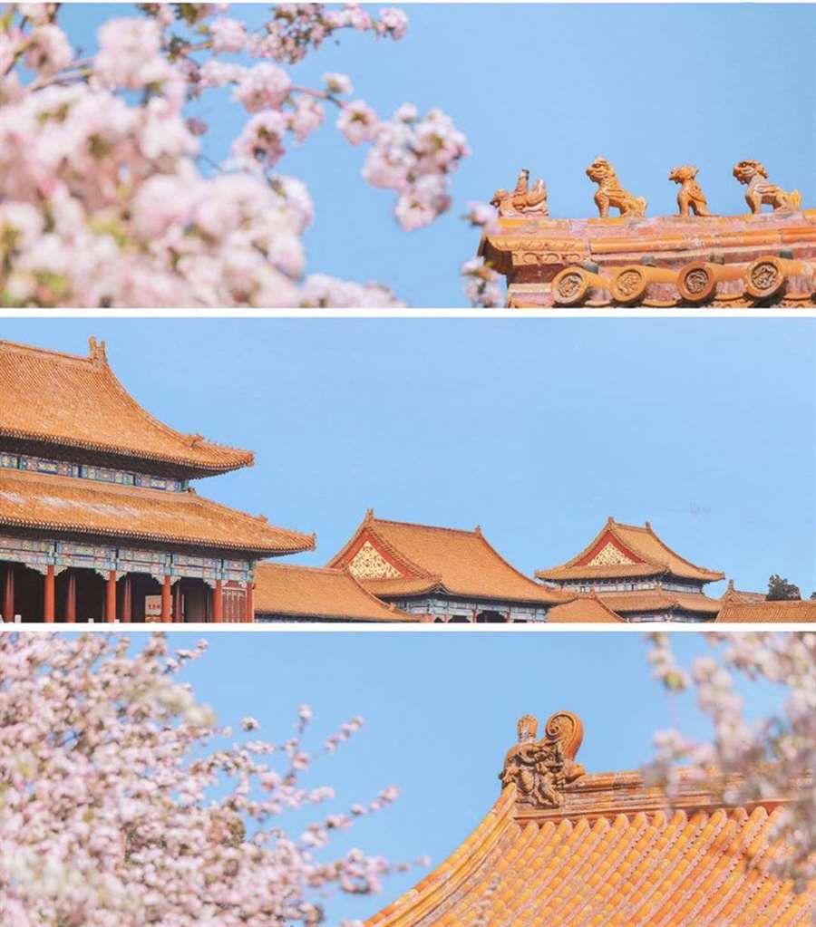 Tour Bắc Kinh Tử Cấm Thành