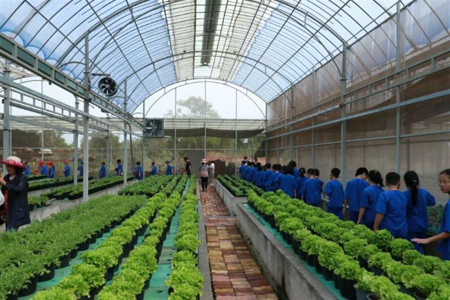 Đại nam văn hóa du lịch thể thao