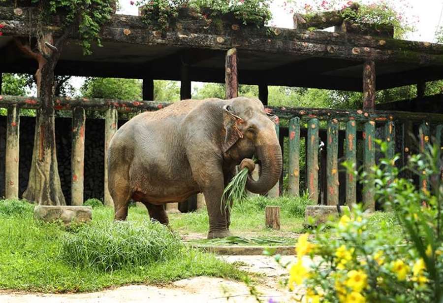 Đại nam văn hóa du lịch thể thao
